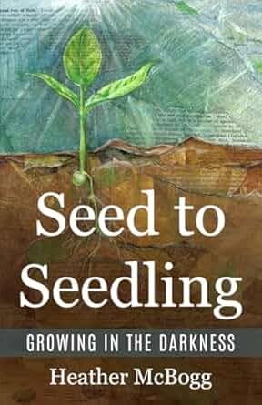 Heather McBogg – From Seed to Seedling
