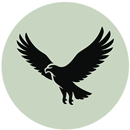 Class Level 4: Experienced Writer – Eagle