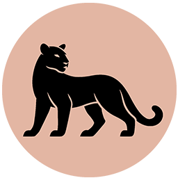 Class Level 5: Artisan Writer – Mountain Lion