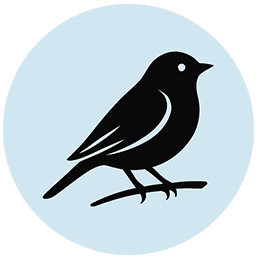 Class Level 1: Beginning Writer – Sparrow